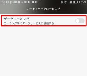 データ ローミング と は