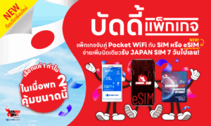 เช่าไวไฟ รับซิม 7 วัน