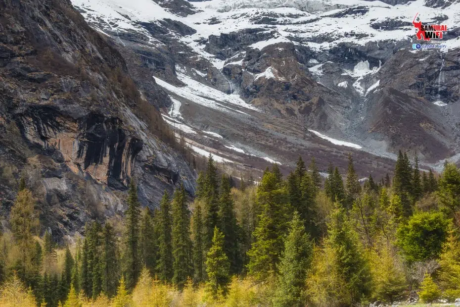 Snow-dusted mountain peaks rising behind a dense evergreen forest.